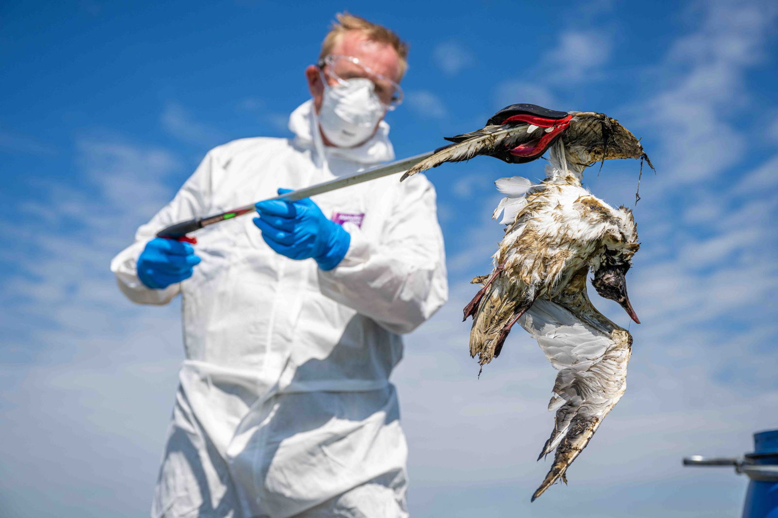2.-21965-NW-e-Vogelgriep-Onlanden-Boswachters-in-witte-pakken-trekken-door-het-gebied-en-ruime