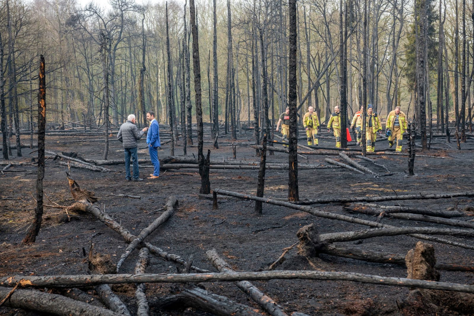 25833-NR-e-Bosbrand Clingse bossen