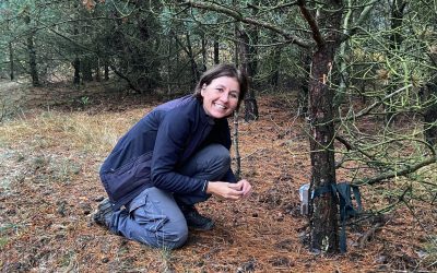 Marielle van Uitert – Probleemwolf Bram