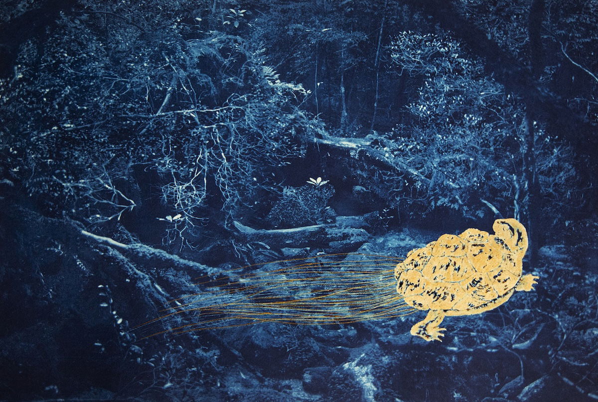 Foto10_SchildpadMonnik